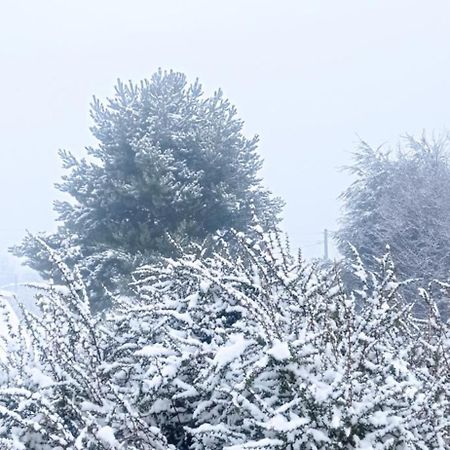 Cabanas Kuyen Койхайке Екстериор снимка